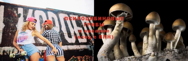 стаф Волосово