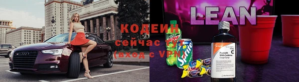 СК Гусев