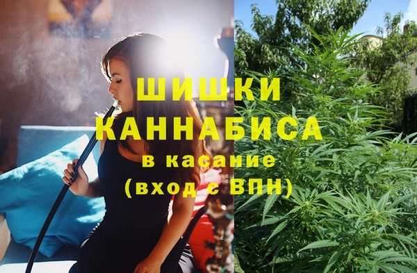 стаф Волосово