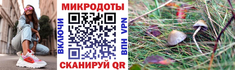 Псилоцибиновые грибы MAGIC MUSHROOMS  kraken   Донской 