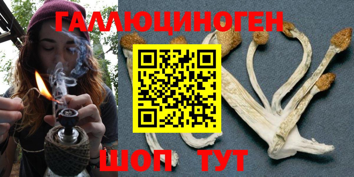 Донской  Псилоцибиновые грибы мухоморы  Вход с VPN 