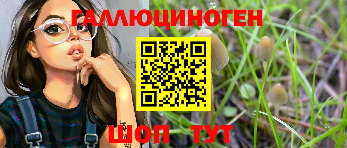 Псилоцибиновые грибы Psilocybine cubensis Донской